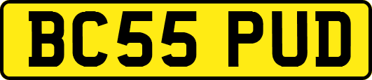BC55PUD