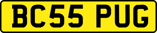 BC55PUG