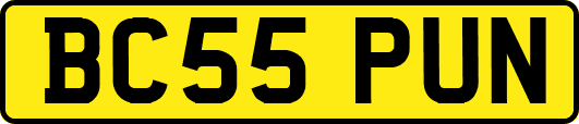 BC55PUN