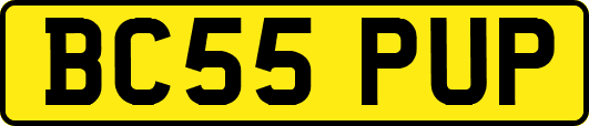 BC55PUP