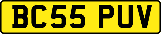 BC55PUV