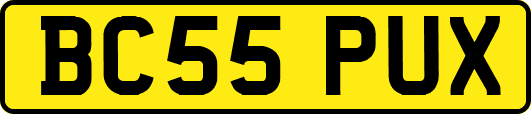 BC55PUX