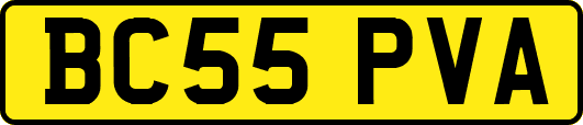 BC55PVA