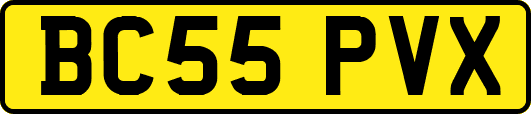 BC55PVX