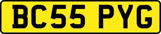BC55PYG