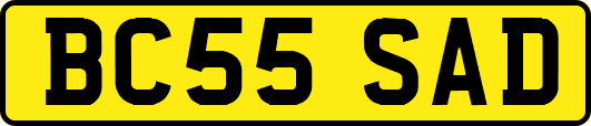 BC55SAD