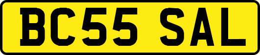 BC55SAL