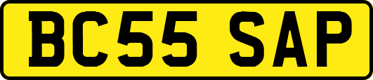 BC55SAP