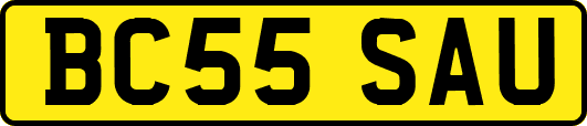 BC55SAU