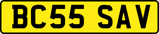 BC55SAV