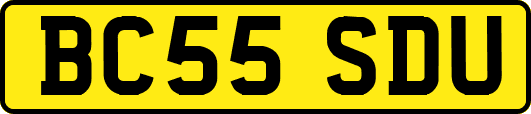 BC55SDU