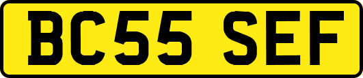 BC55SEF
