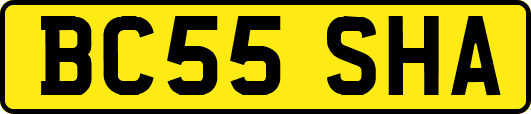 BC55SHA