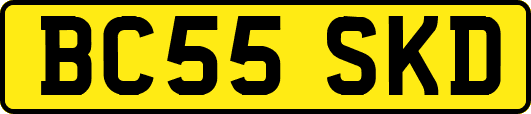 BC55SKD