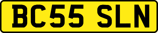 BC55SLN