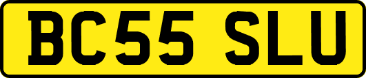 BC55SLU