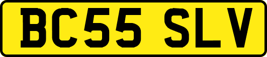 BC55SLV