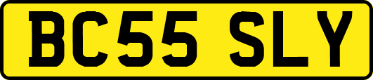 BC55SLY