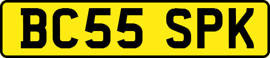 BC55SPK