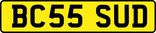 BC55SUD