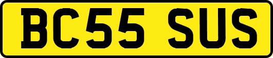 BC55SUS
