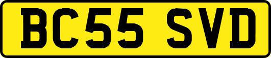BC55SVD