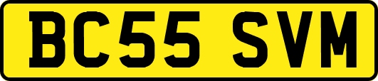BC55SVM