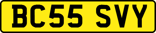 BC55SVY