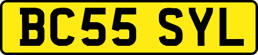 BC55SYL