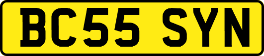 BC55SYN