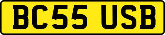 BC55USB