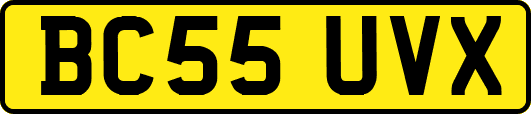 BC55UVX