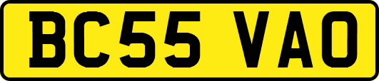 BC55VAO