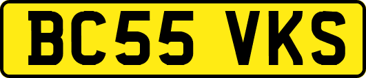 BC55VKS