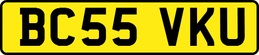 BC55VKU
