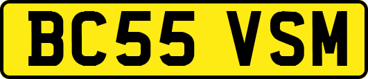 BC55VSM
