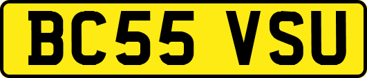 BC55VSU