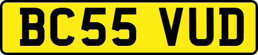 BC55VUD