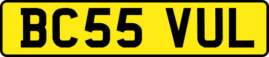 BC55VUL