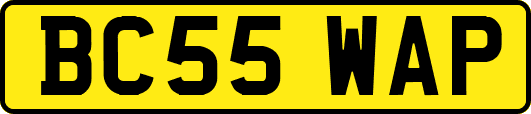 BC55WAP