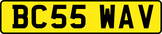BC55WAV