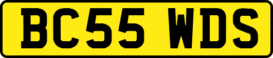 BC55WDS