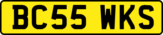 BC55WKS