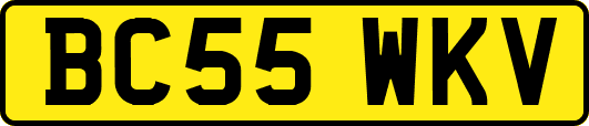 BC55WKV