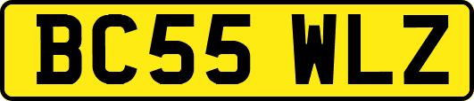 BC55WLZ