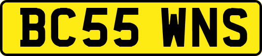 BC55WNS
