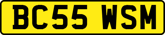 BC55WSM