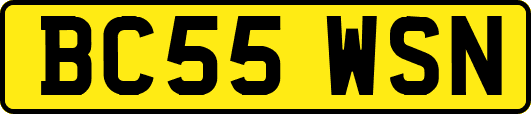 BC55WSN