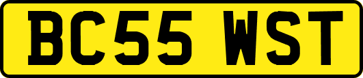 BC55WST