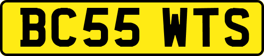 BC55WTS